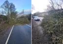 A huge tree was felled by Storm Otto and blocked East Chevin Road, in Otley