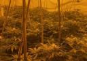 A cannabis farm was discovered at an address in Dewsbury