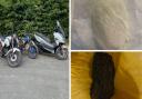 Stolen bikes and drugs seized in Tong