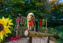 Pumpkin trail at Bolton Abbey - dogs welcome
