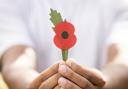 BRI to host Remembrance service for veterans and Armed Forces members