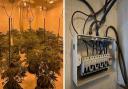 Police issued a warning about the dangers of bypassing electrics after discovering this cannabis grow in Shelf.