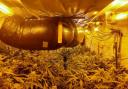 This cannabis farm was discovered in Batley.