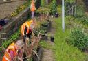 Volunteers have brought a garden at Brighouse station back to life.
