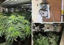 Police found a cannabis farm at a house in Dennison Fold, Tyersal, Bradford