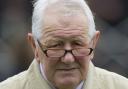 NEWBURY TEST: Trainer David Elsworth is looking for another Group Two win for Sir Dancealot
