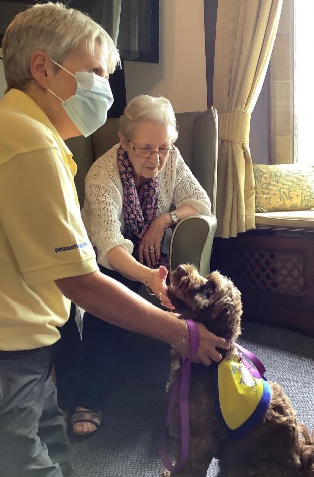 Bradford Telegraph and Argus: Pets As Therapy’ pooch Coco dropped in to say hello