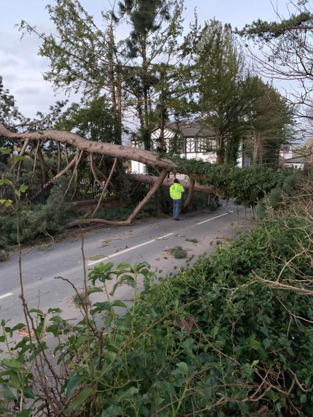 Bradford Telegraph and Argus: Aftermath of Storm Arwen in Cheshire (PA)