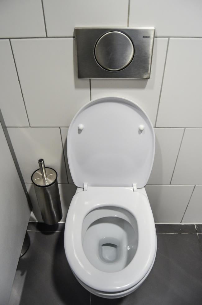 A stable loo seat would make a great gift. Picture: Pixabay