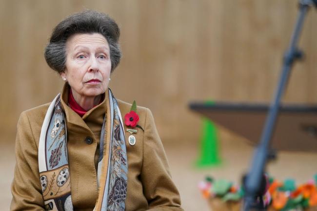 Princess Anne (PA Wire/PA Images)