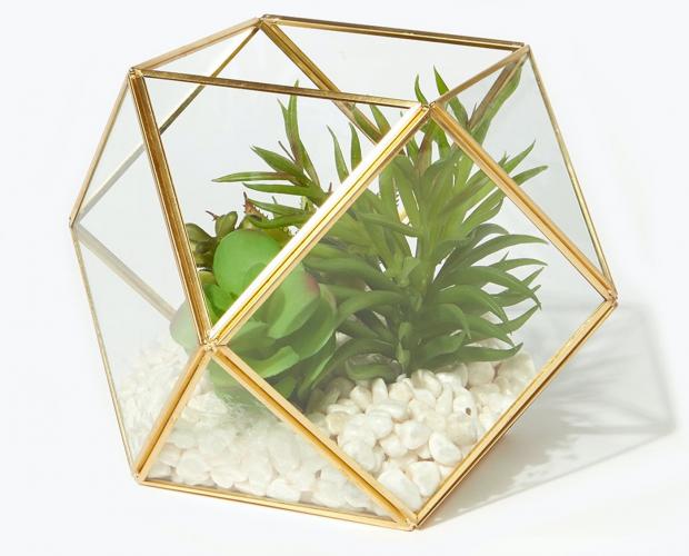 Bradford Telegraph and Argus: Succulents in Hexagonal Planter is available via Matalan. Picture: Matalan