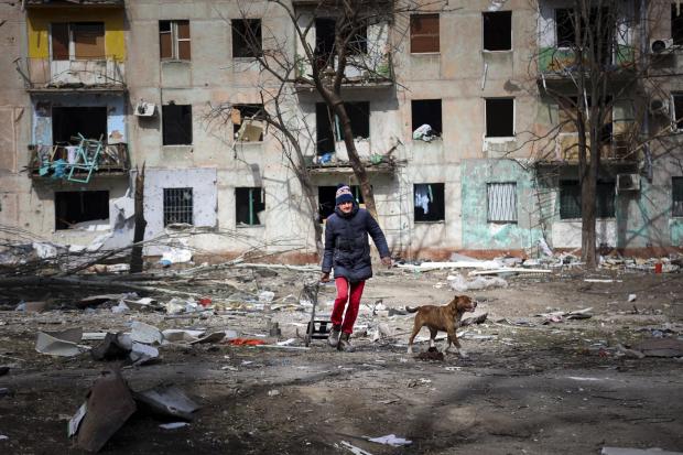 Bradford Telegraph and Argus: A man walks with his dog near an apartment building damaged by shelling from fighting on the outskirts of Mariupol, Ukraine Picture: AP Photo/Alexei Alexandrov