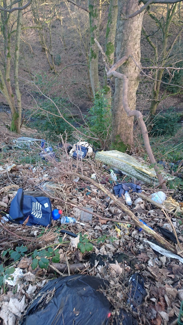 Bath and fridge among rubbish collected from beck