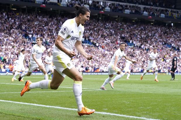Pascal Struijk celebrates his 92nd-minute equaliser in Leeds United's 1-1 draw with Brighton & Hove Albion in the Premier League at Elland Road