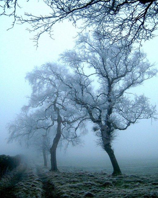 A winter's scene at Barcroft, near Haworth, taken by Joyce Simpson, of Canberra Drive,
Cross Roads, Keighley.