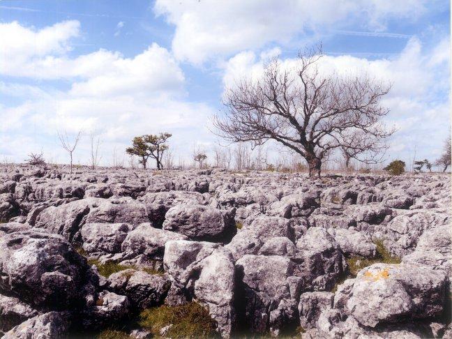 The limestone pavement at Cornistone, taken by Keith Ramsden, of Cornwall Crescent, Baildon, Shipley.