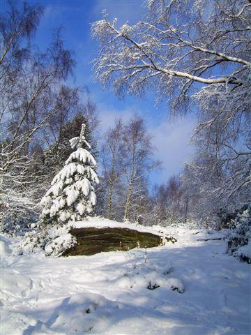 Snow at St Ives Estate, Harden, Bingley, taken by Kath Gabbitas, of Ferrands Park Way, Harden, Bingley.