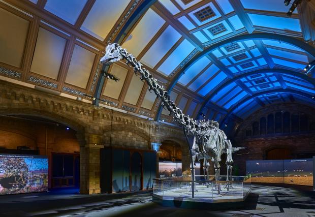 Bradford Telegraph and Argus: The Natural History Museum is just one of many museums you can visit for free. Picture: PA