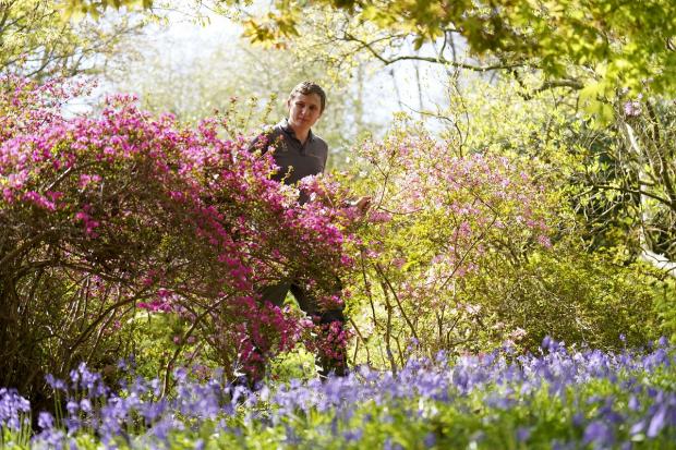Bradford Telegraph and Argus: National Trust properties are a great place to reconnect with nature: Picture: PA