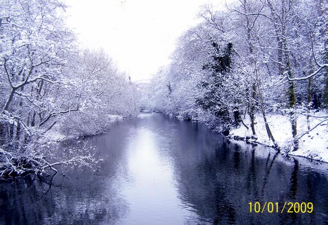 The River Aire at Myrtle Park, Bingley, taken by Mrs M Cornforth, of Sycamore Ave, Bingley