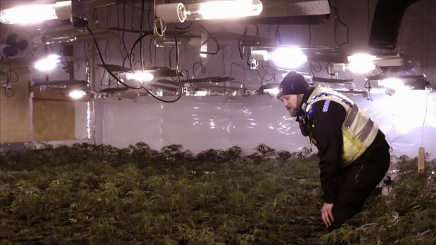 Bradford Telegraph and Argus: PCSO Tom Greenwood dealing with a cannabis farm