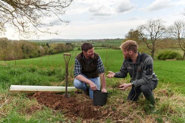 Bradford Telegraph and Argus: Morrisons tree advisors, right, are working with UK farmers on its tree planting 