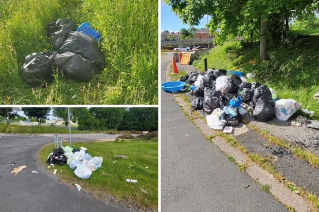 Bradford Telegraph and Argus: Rubbish littered around the Richard Dunn Sports Centre car park and surrounding grounds before the clean up.