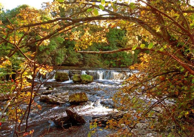 Aysgarth Falls, taken by Margaret Spence, of Spilingfield Road, Grassington.