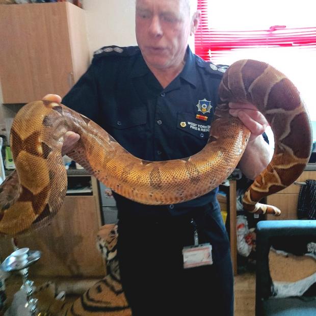 Bradford Telegraph and Argus: Technical Rescue Officer Ronnie Goldwater with Sid the snake, a boa constrictor