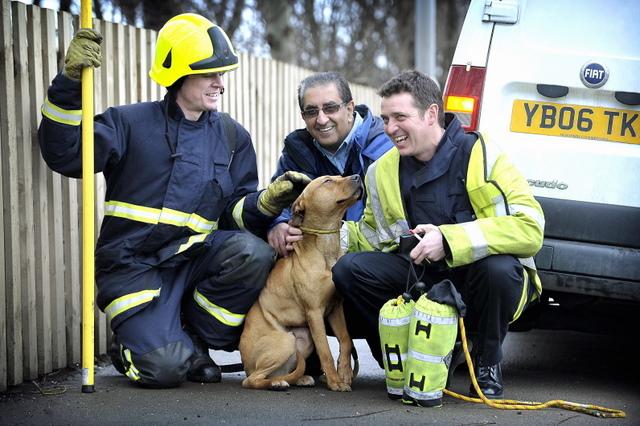 A dog, nicknamed Butch, was rescued from Bradford Beck after being spotted stranded by the water, starving, having possibly been stuck for days after falling down an embankment. Pictured is Butch with dog warden Terry Singh and two of the rescuers.