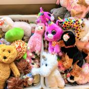 Beanie babies are much sought after. Picture: Christopher Babcock