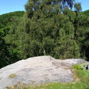 A woman suffered multiple injuries when she fell from this rock at Shipley Glen