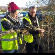 A Woodhouse Grove student weaves willow branches into a 'fedge', a living fence hedge