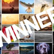 Winner of the Camera Club Yorkshire Photographer of the Year competition revealed