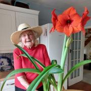 Betty Baker with her amaryllis