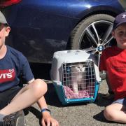 Loki's owners 10 year old Ben and six year old George have been reunited with their kitten. Picture: RSPCA
