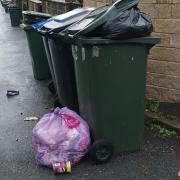 A resident has spoken out about overstuffed bins and rubbish causing problems in West Bowling
