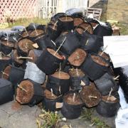 A pile of plants and equipment used for a cannabis farm on High Street, Queensbury