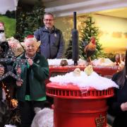 In December 2022,  Tong Garden Centre staff - pictured above - won an award for its Christmas displays from the Garden Centre Association