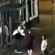 Thug picks up seagull by the neck and slams it into a brick wall