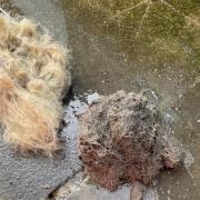 Two wigs blocked a sewer in Allerton