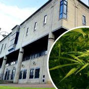 Man jailed at Bradford Crown Court over cannabis farm at Bradford House