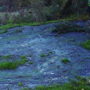 In 2022, Yorkshire Water was fined £233,000 for discharging 20 million litres of raw sewage into Tong Beck in Bradford