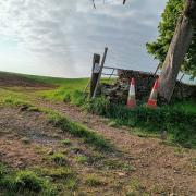 Site of the new dog walking field in West Marton