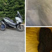 Stolen bikes and drugs seized in Tong