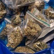 These drugs were seized by police in Wyke