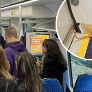 Snake on train between Shipley and Leeds leaves passengers shocked