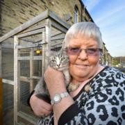 Brenda Satterley of Allerton Cat Rescue is making an appeal for donations