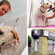 New dog grooming spa opens in Bradford