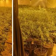 A cannabis farm worth £2 million was discovered in Liversedge
